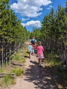 family with young kids walking through grove of trees