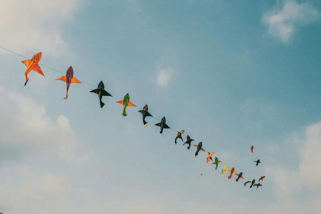 long sting of multiple kites in blue sky